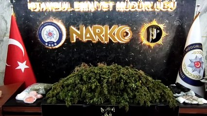 İSTANBUL - Uyuşturucu operasyonlarında yakalanan 9 şüpheli tutuklandı