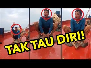 TEGA!!! Orang ini Naiki Penyu Seperti Kuda