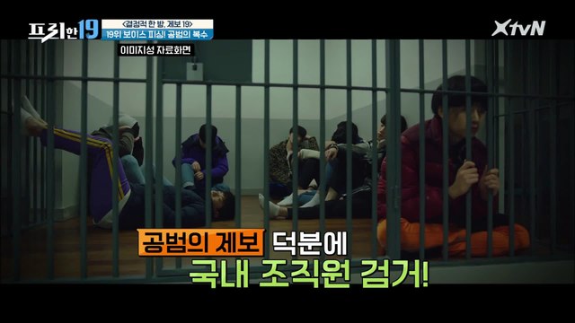 보이스 피싱 조직의 내부 분열? 공범의 복수 [결정적 한 방, 제보 19]