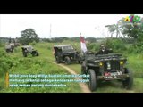 Sensasi Mengendarai Mobil Jeep Willys