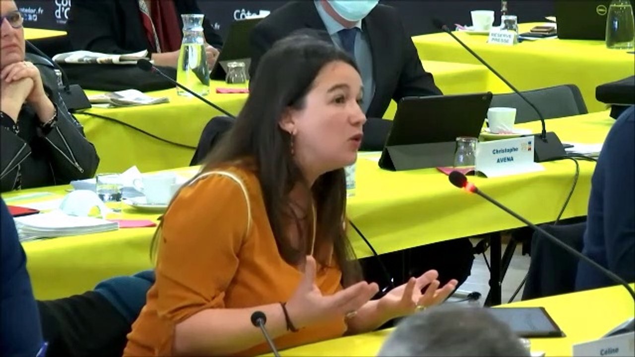 Céline MAGLICA. Discussion générale. Session du 8 mars 2021