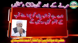 Hazrat Maulana Peer Zulfiqar Ahmad Naqshbandi || Islamic Bayan || marne ke bad 3 vasiyat || islamic