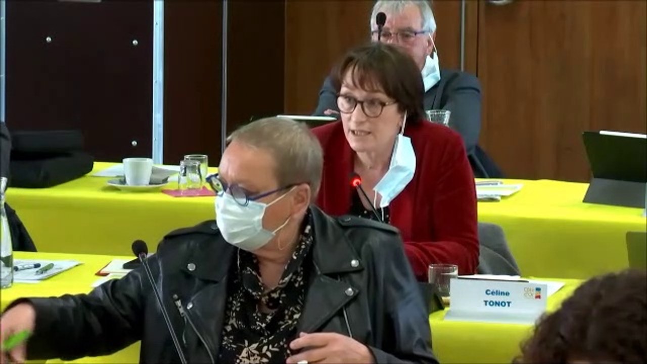 Céline TONOT. Lutte contre la précarité des femmes. Session du 8 mars 2021