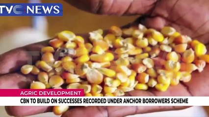 Download Video: CBN to build on successes recorded under anchor borrowers scheme