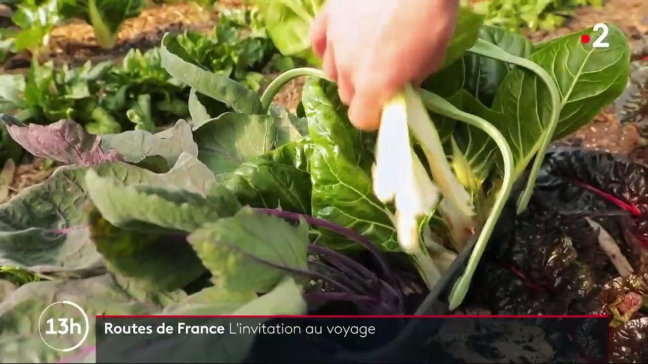 Routes de France : le lac d'Annecy, de l’effervescence de la ville au calme des montagnes