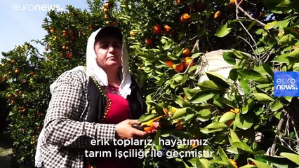 8 Mart Kadınlar Günü: Kadın emeği makineleşmenin önünde