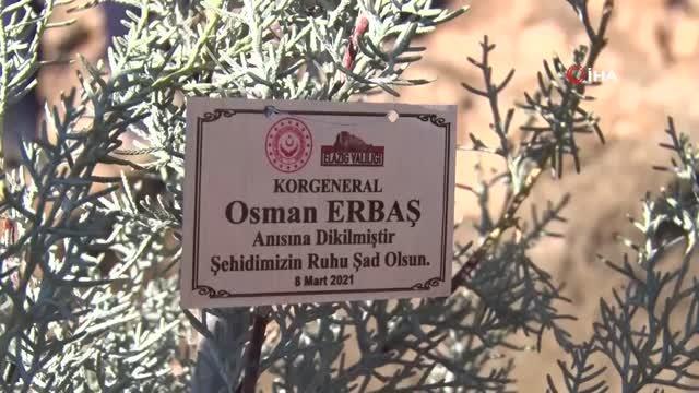 - Elazığ'da fidanlar, 11 şehit için toprakla buluşturuldu