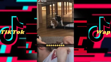 Funny Dogs Speaking Their Own Language-Tiktok Compilation_