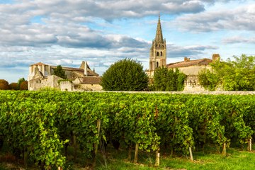 French Wine Regions to Visit for Amazing Views and Delicious Vinos