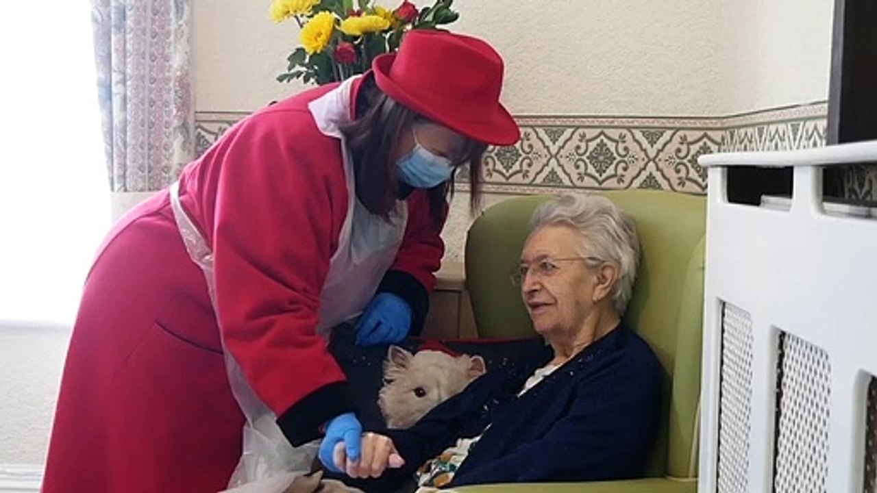 Care Home visits