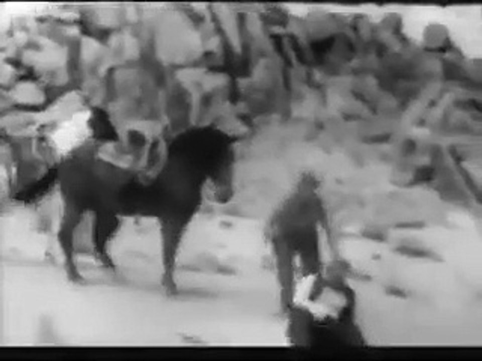 The adventures of Champion    . S01e01