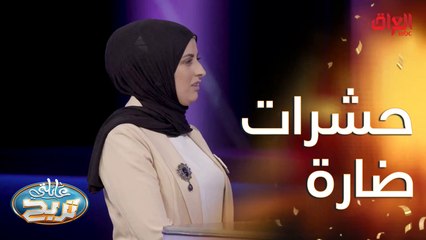 نوع من أنواع الحشرات الضارة