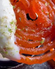 Are you foddies ???   Here are some sweet jalebi  tag your jalebi freinds and follow me