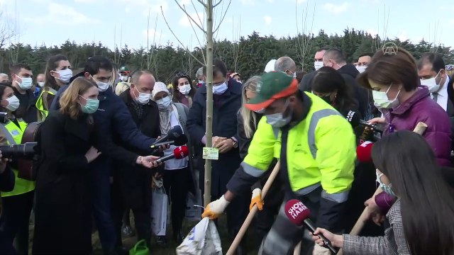 İSTANBUL - İstanbul Büyükşehir Belediyesinden, kadın çalışanları anısına hatıra ormanı