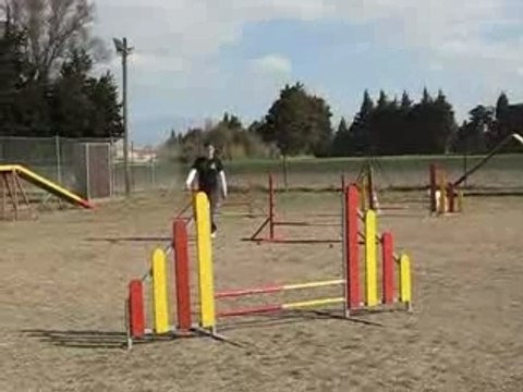 Brooklyn en séance agility