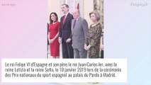 Felipe VI : Les problèmes de famille s'accumulent pour le roi d'Espagne