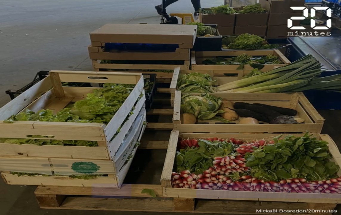 Coronavirus à Bordeaux : Le Drive Fermier veut surfer sur la vague du circuit court