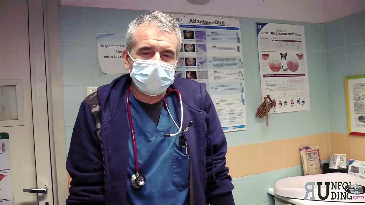 La tracheobronchite nel cane