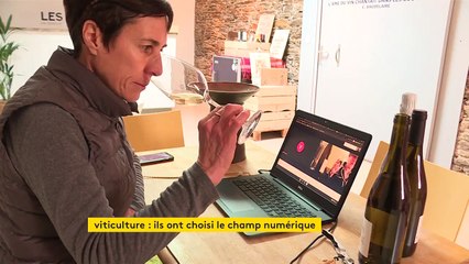 Dégustations virtuelles, vente en ligne : comment les viticulteurs s’adaptent face à la crise