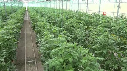 Kendi günlerinde çalışan tarım işçisi kadınlar unutulmadı