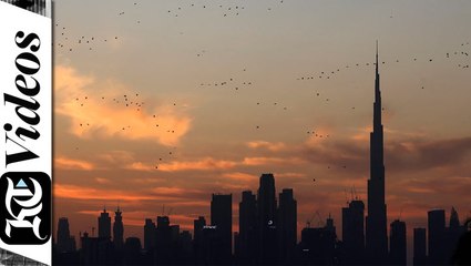 All you need to know: UAE travel guide amid Covid