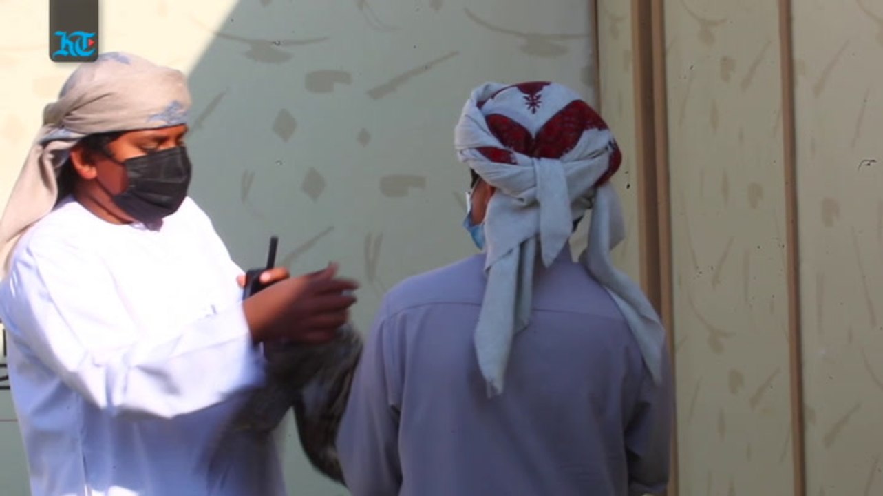 Falcon Final
