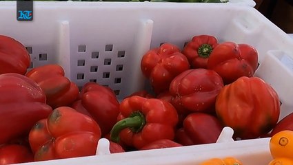 Organic Farmers Souq, In Episode 15 of #khaleejtimes' UAE's Hidden Gem series