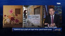 مبادرة شبابية لتجميل حوائط البيوت في شوارع قرية بالدقهلية.. التفاصيل