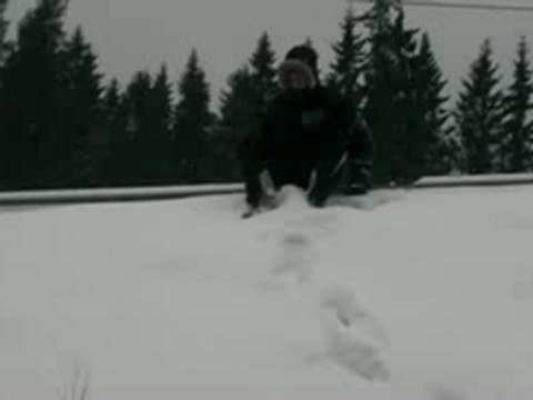 Roulé boulé françois