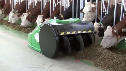 Incredible modern farming machines changed farming technology || Amazing automatic cow farming process