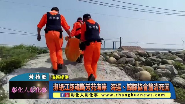 瀕絕江豚魂斷芳苑海岸 海巡、鯨豚協會釐清死因