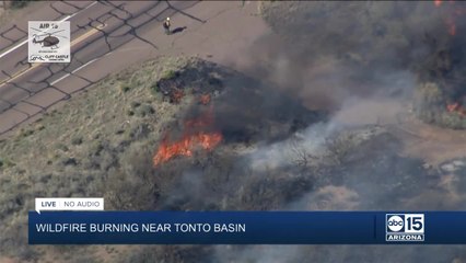 50-ace Pumpkin Fire burning in Arizona near Tonto Basin