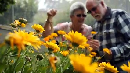 Tasmanian couple promote guinea pig as sustainable meat