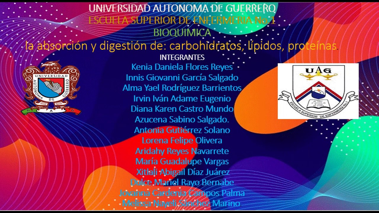 proyecto integrador