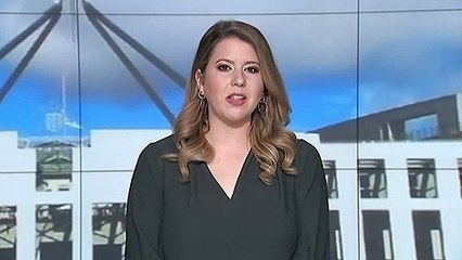 Julie Bishop questions Government's handling of matter