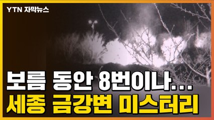 [자막뉴스] 보름 동안 8번이나...세종 금강변 미스터리 / YTN