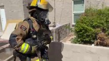 Dogs rescued from apartment fire near 44th Street and McDowell Road