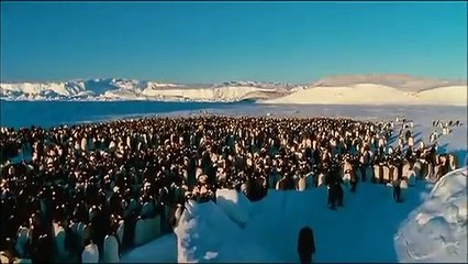 La Marcia dei Pinguini Film (2005)