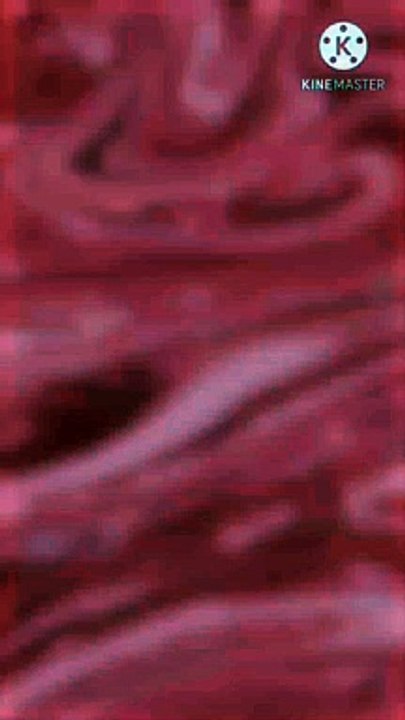 zohar ki sunnat namaz ki fazilat | peer zulfiqar ahmad naqshbandi db