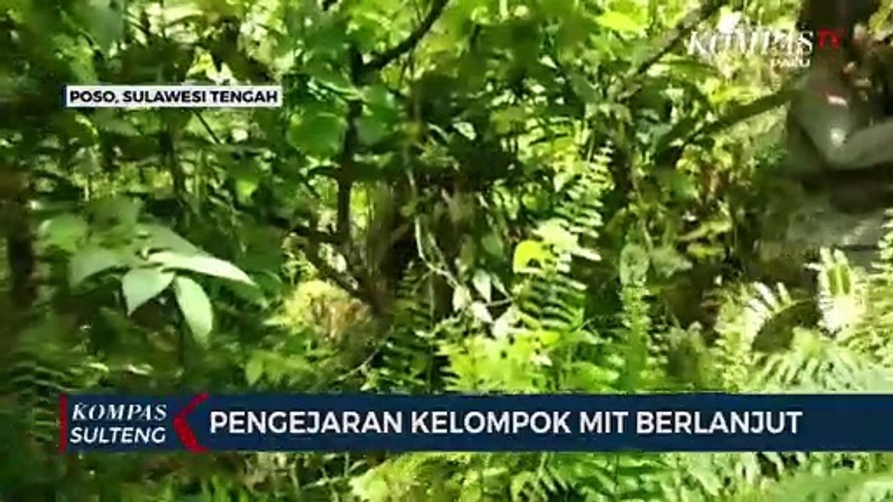Pengejaran Kelompok MIT Berlanjut