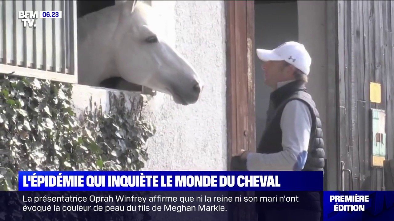Quelle est cette épidémie qui inquiète le monde équestre ?