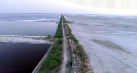 Sambhar Lake