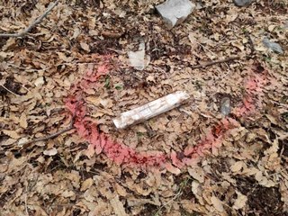 - Siirt'te PKK'lı teröristlerin tuzağı son anda önlendi