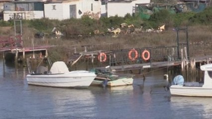 Memorias de las tierras de María la Portuguesa