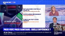 BFMTV répond à vos questions : Quelle différence entre pass vert et pass sanitaire ? - 15/03