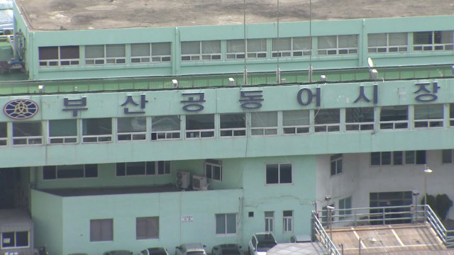 부산공동어시장 비상...울산서 영국발 변이 바이러스 검사 / YTN