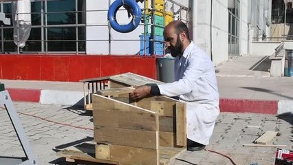 Esnaftan toplanan paletler sokak hayvanlarına barınak oldu