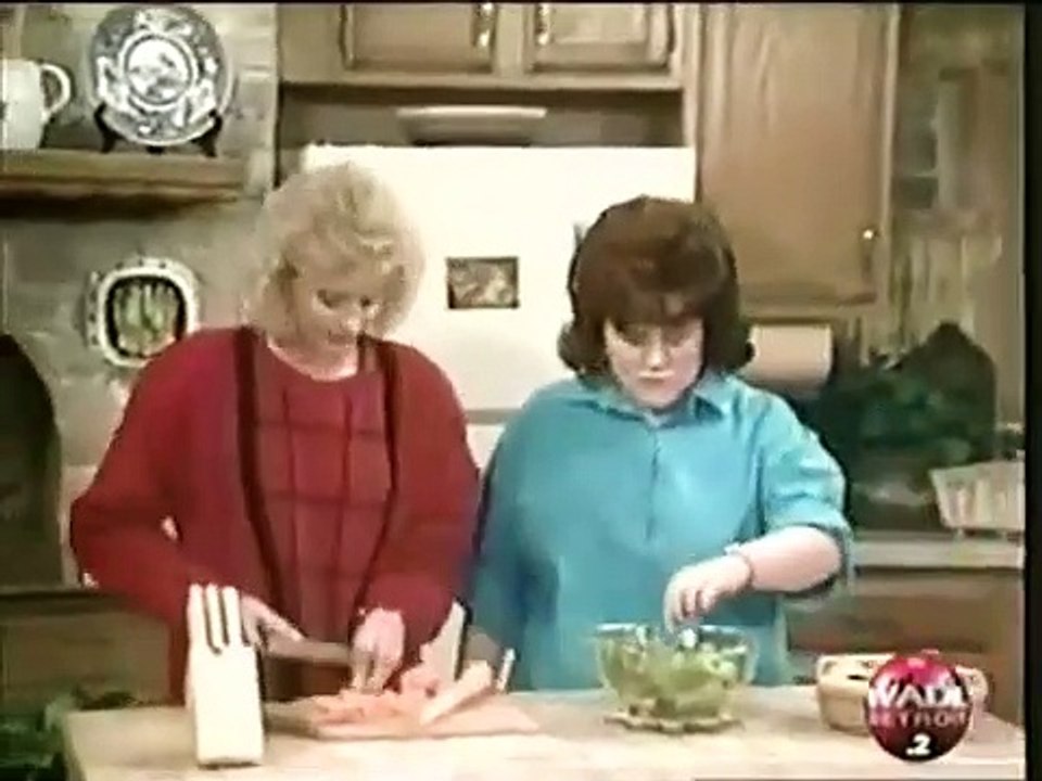 Small Wonder-S3-E14 Here Today, Gone Tomorrow S3-E14