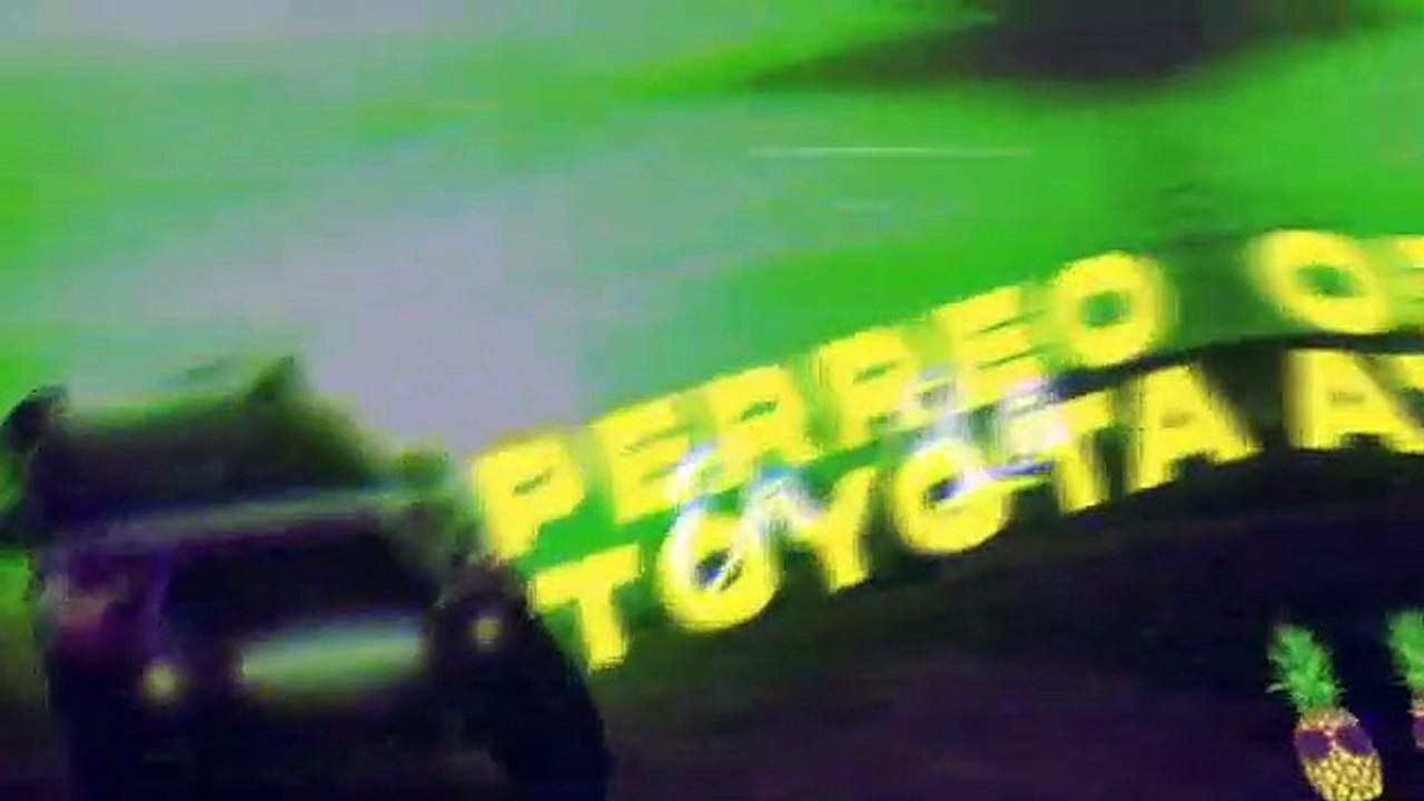 PERREO MIX