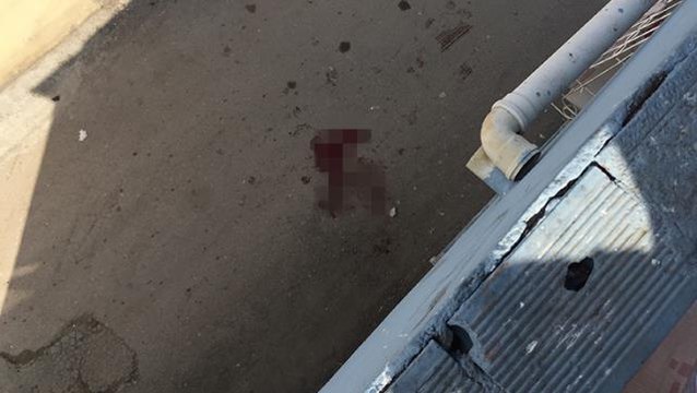 Kilim silkelerken damdan düşen 9 aylık hamile kadın ağır yaralandı